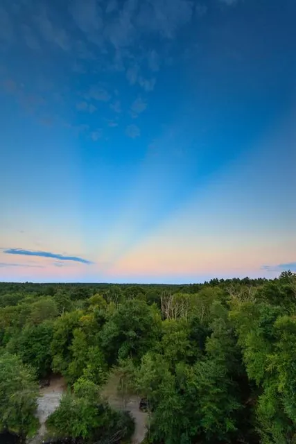 Freetown-Fall River State Forest