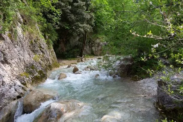photo-2