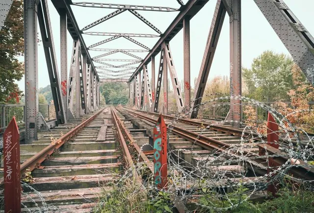 Cherry Blossoms at Taian Police Station
