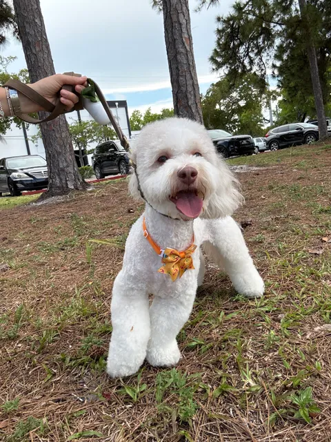 Le Pet Salon & Boutique