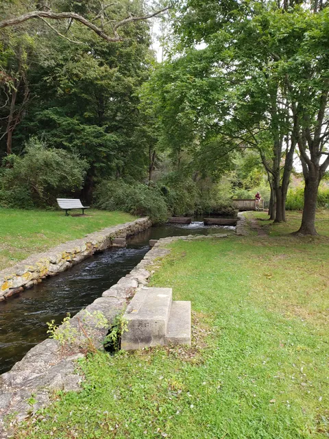 Carter Beal Conservation Area