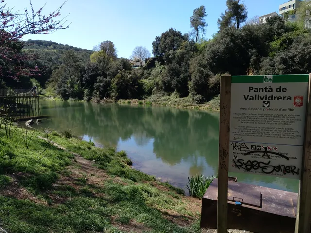 Vallvidrera Reservoir
