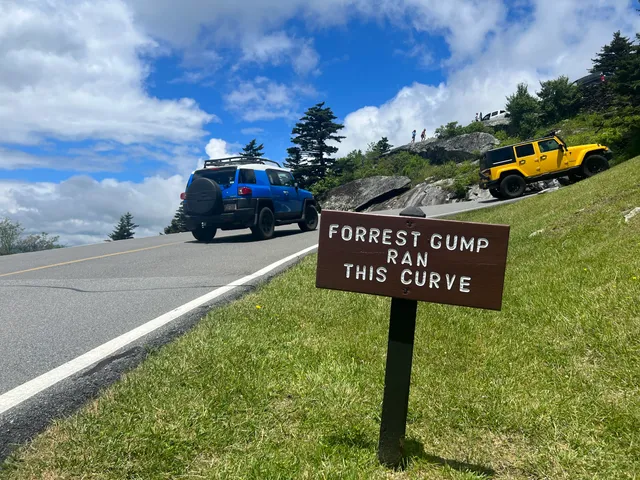 Forrest Gump Curve