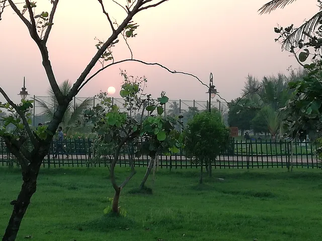 Tropical Tree Garden