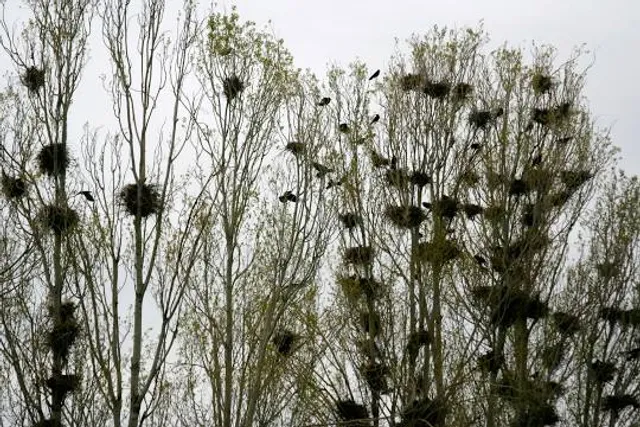 Uhlstädt-Kirchhasel