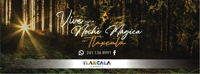 Avistamiento de Luciérnagas Las Minas