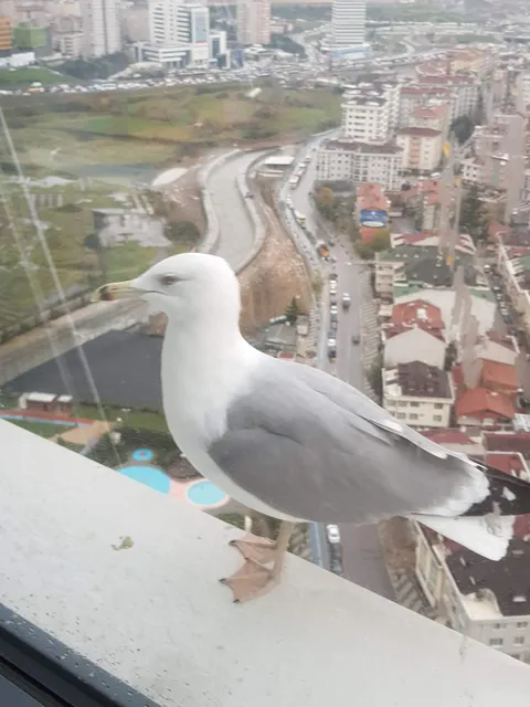 Bursa Zooloji Müzesi