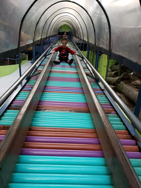 Parque MikeWood