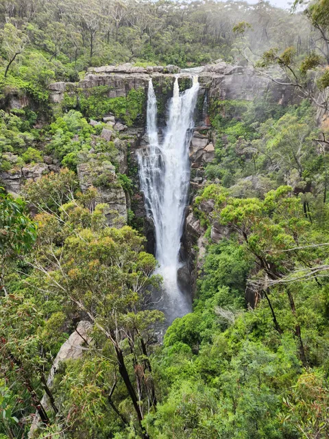 Carrington Falls walking track