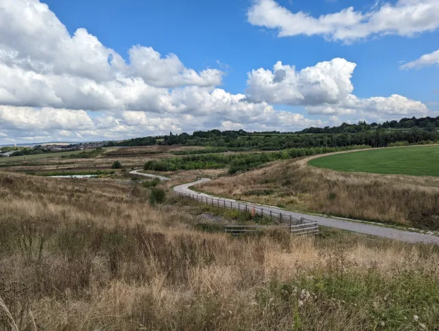 The Avenue Country Park