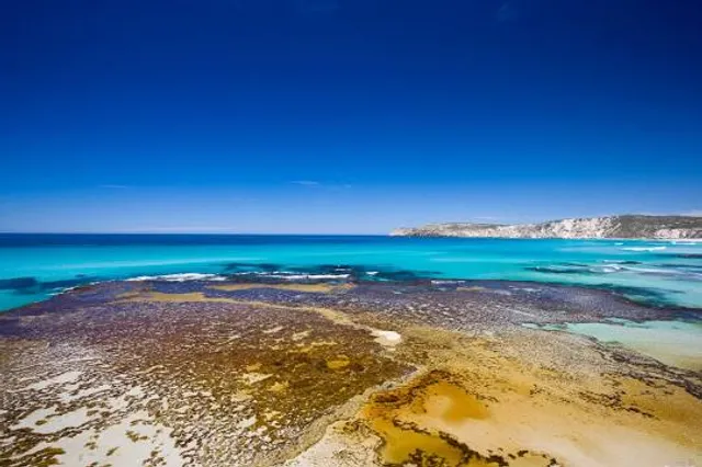 Pennington Beach Parking