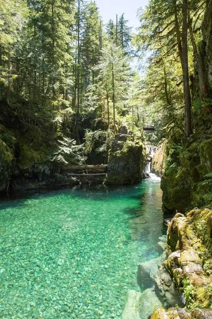 Opal Creek Ancient Forest Center