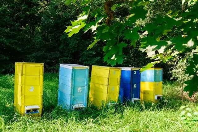 Rosarium Glücksburg