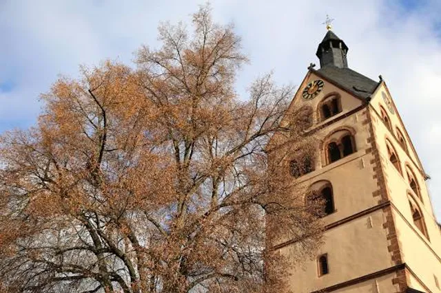 photo-3