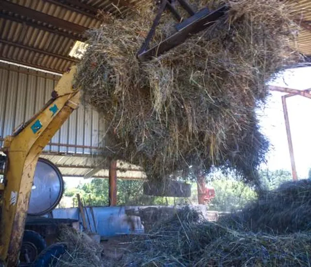 Animal Haven Farm Zoo