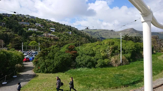 photo-2