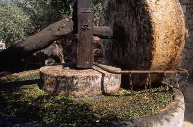 photo-1