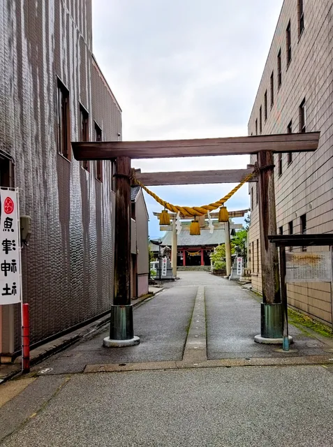 photo-2