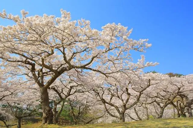 Kurpark Bad Bentheim