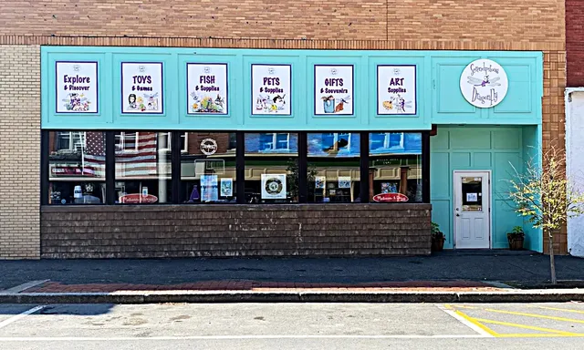 Serendipitous Dragonfly