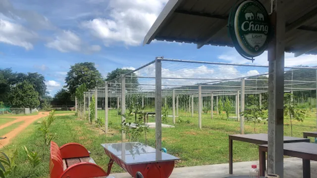 QUALITY TIME farmstay and Café