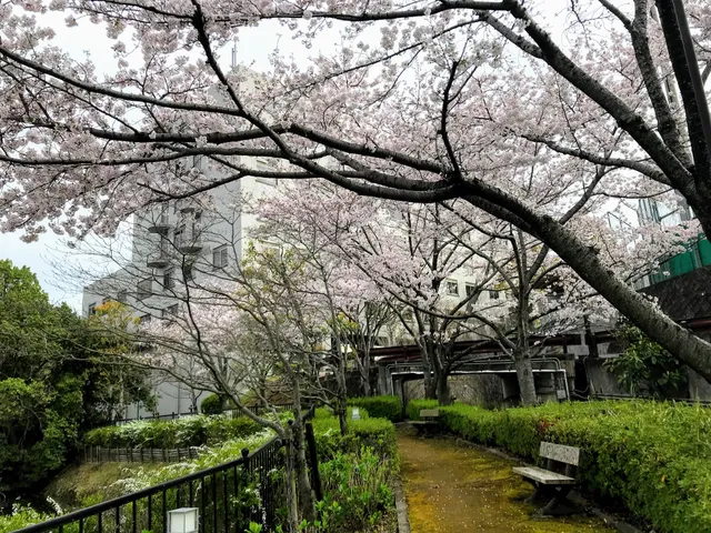 Osaka University of Economics and Law