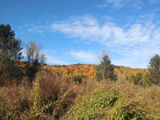 Ganargua Creek Meadow Preserve