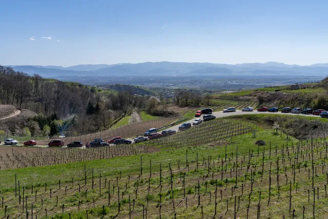 GVV Kaiserstuhl-Tuniberg