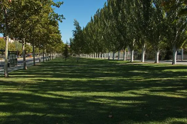 Puente de la Almozara