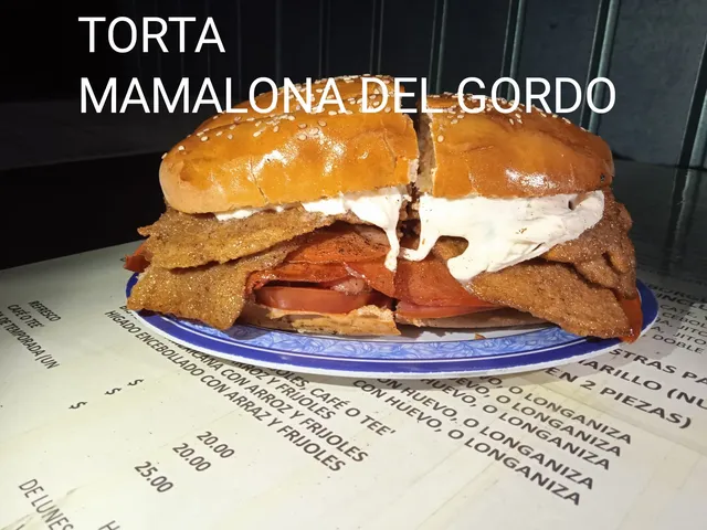 Tortas Gigantes, Hamburguesas y algo más el Gordo Gatoso