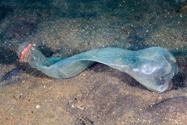 Gulf Specimen Aquarium