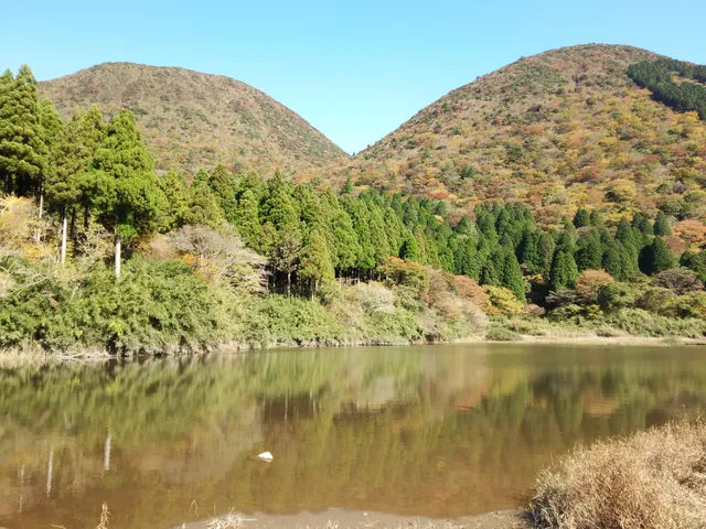 Otamaga Pond