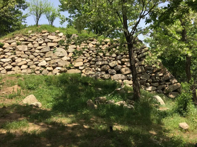 Gupo Japanese Castle