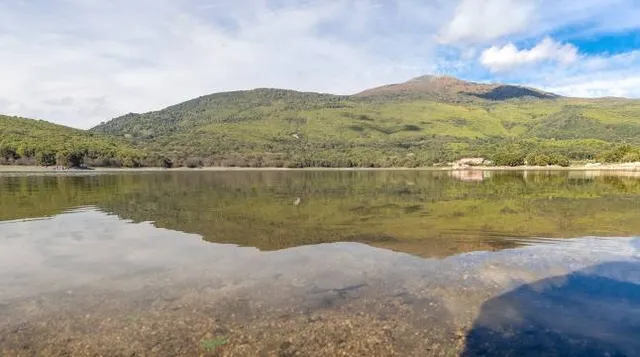 Castañar de Rozas de Puerto Real