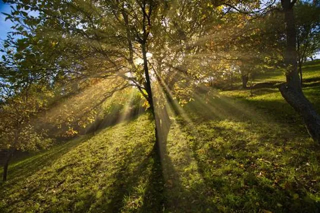 Berthelsdorf Manor (Zinzendorf Castle)
