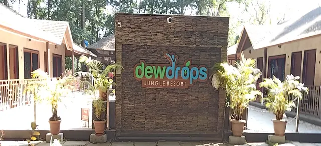 Dew Drops Jungle Resort