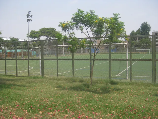 Lloque Yupanqui Local Park