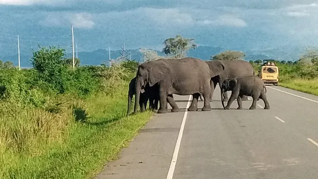 Queen Elizabeth National Park