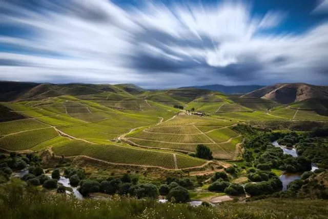 Quinta de Ervamoira - Ramos Pinto