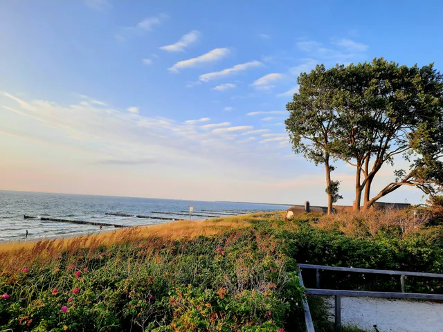 Kunstpfad Ahrenshoop