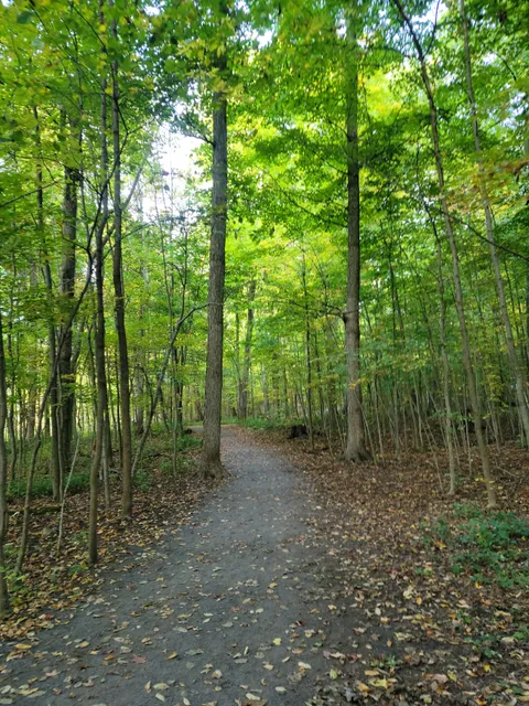 Lemoine Point Conservation Area