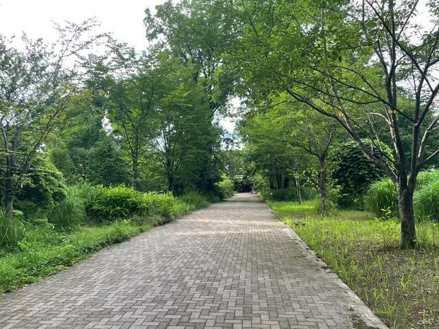 Plant Diversity Center, Jindai Botanical Garden