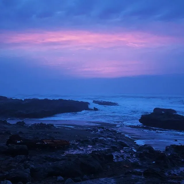 Smelt Sands State Recreation Site