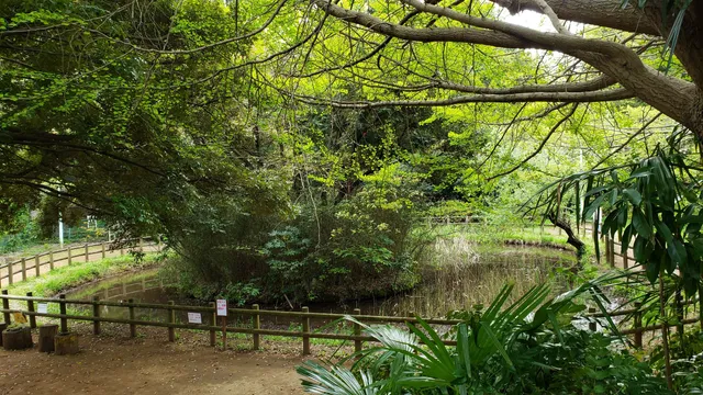 Hasama Ryokuchi Park