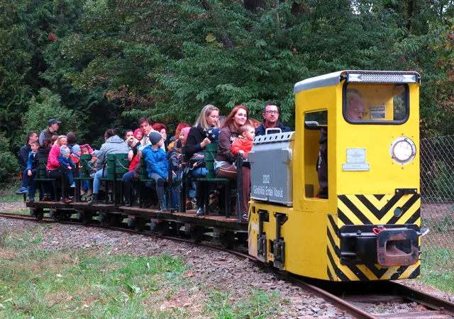 Gödöllő Forest Railway