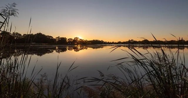 Étang de la Chausselière