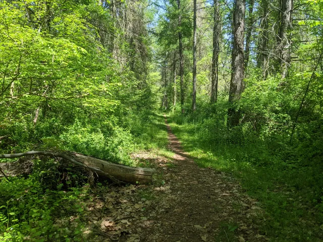 photo-3