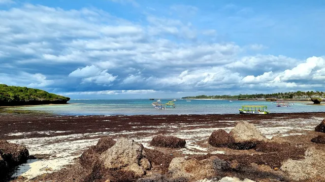 Blue Bay Beach Watamu