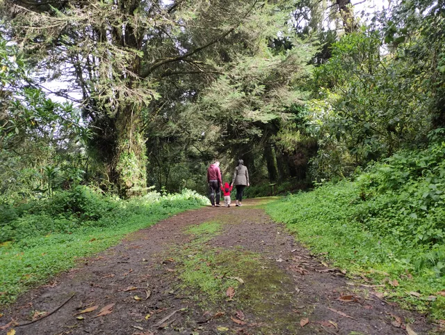 photo-1
