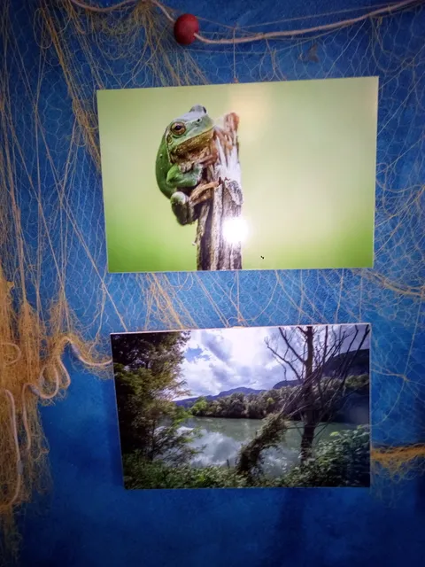 Museo La Casa del Lago